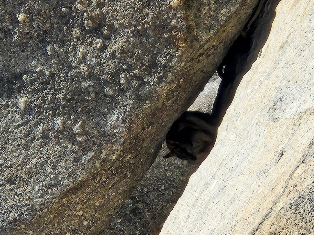 Granite Gorge Nature Park景点图片