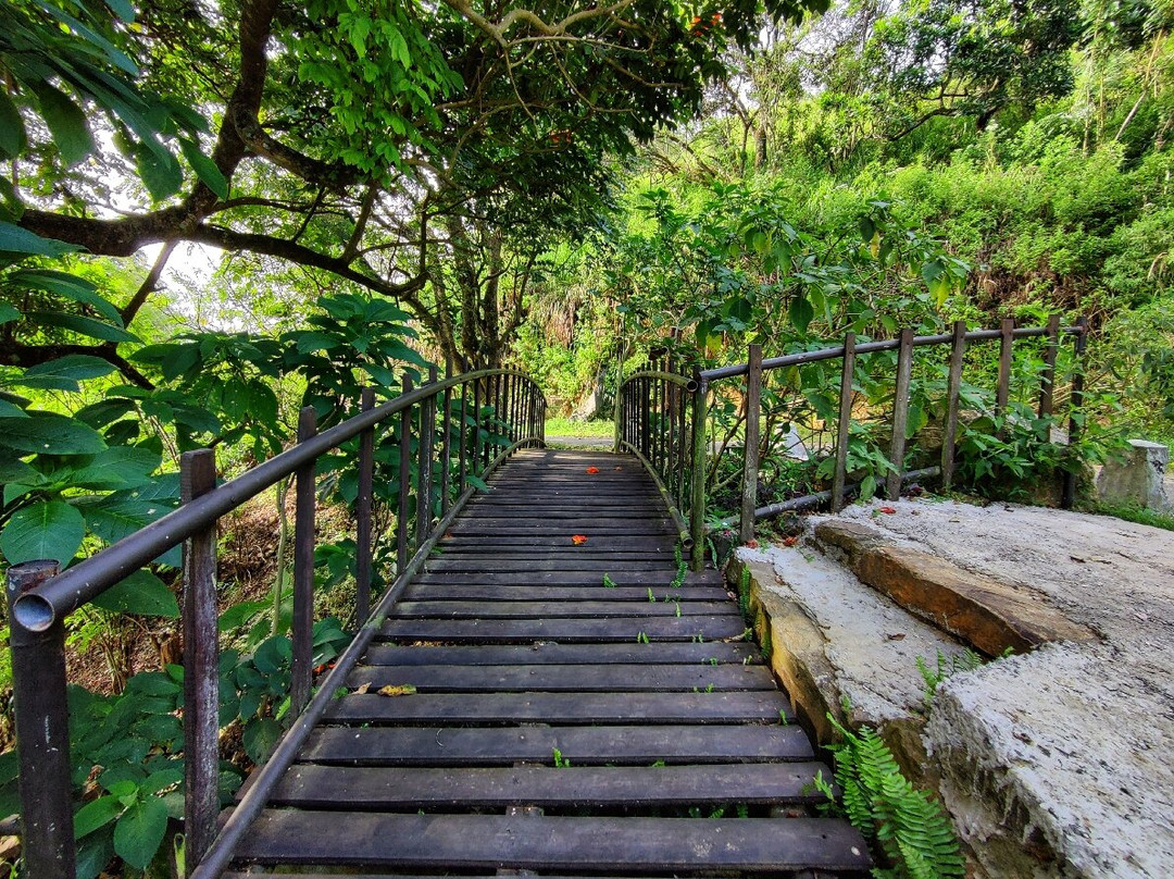 Brisk Ella Retreat主图