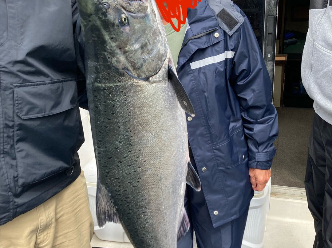 The Bites On Fishing Charters-凯奇坎必去景点