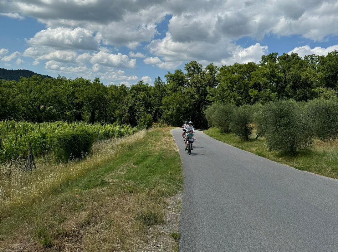 Discovery Chianti-格雷韦伊恩基亚恩蒂必去景点