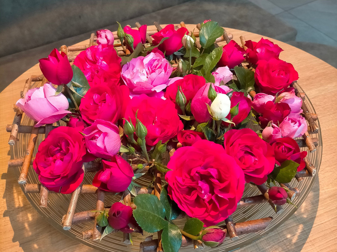 Hotel Vierbrunnenhof主图