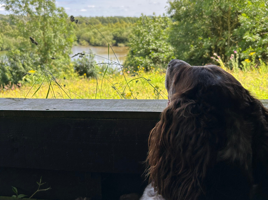 Marfield Wetlands Nature Reserve景点图片