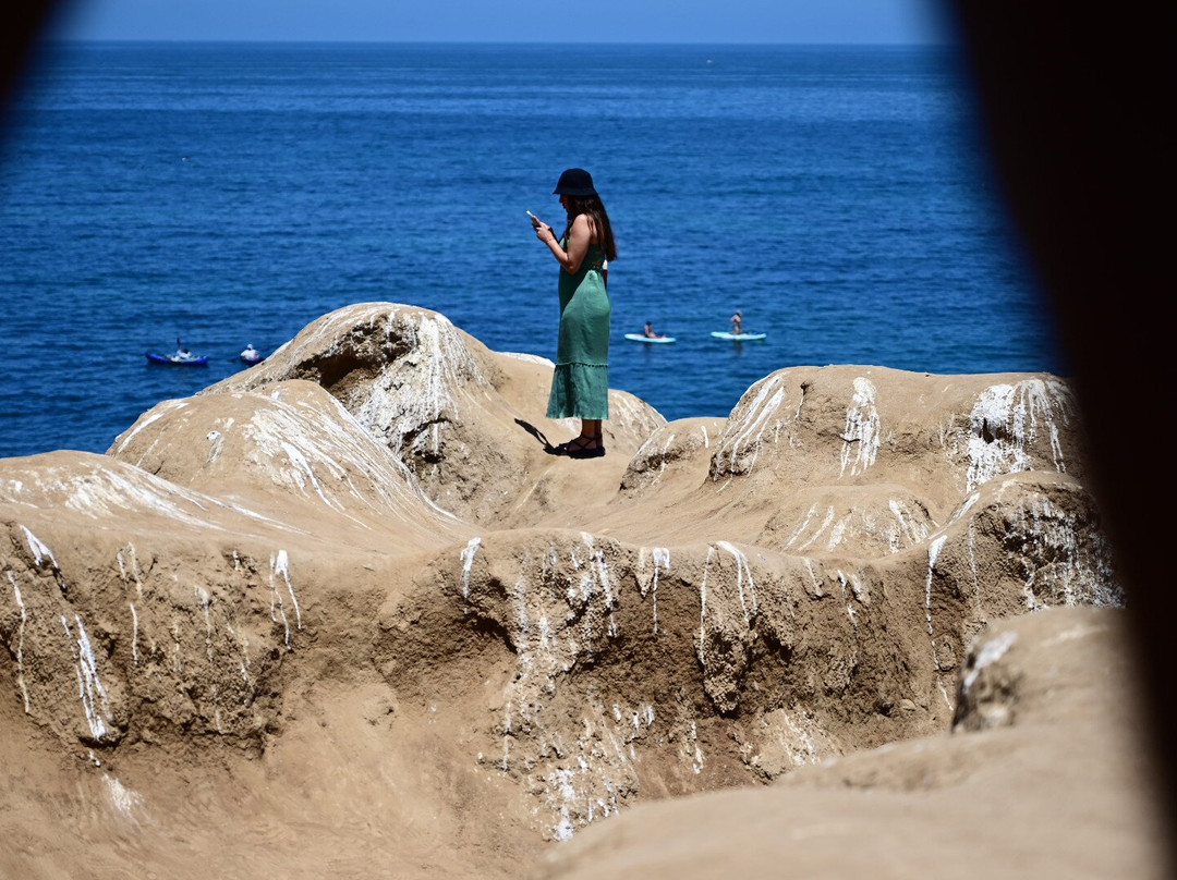 Murals of La Jolla-拉荷亚必去景点