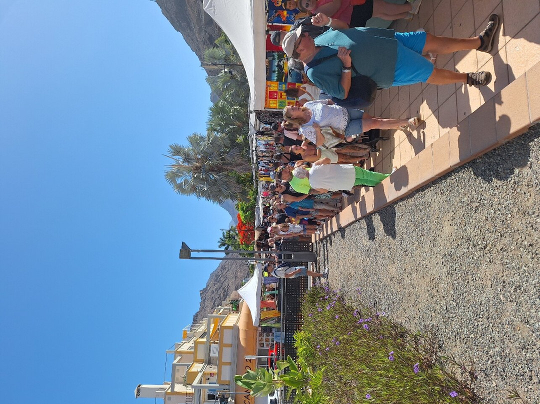 Mercadillo de Mogan景点图片
