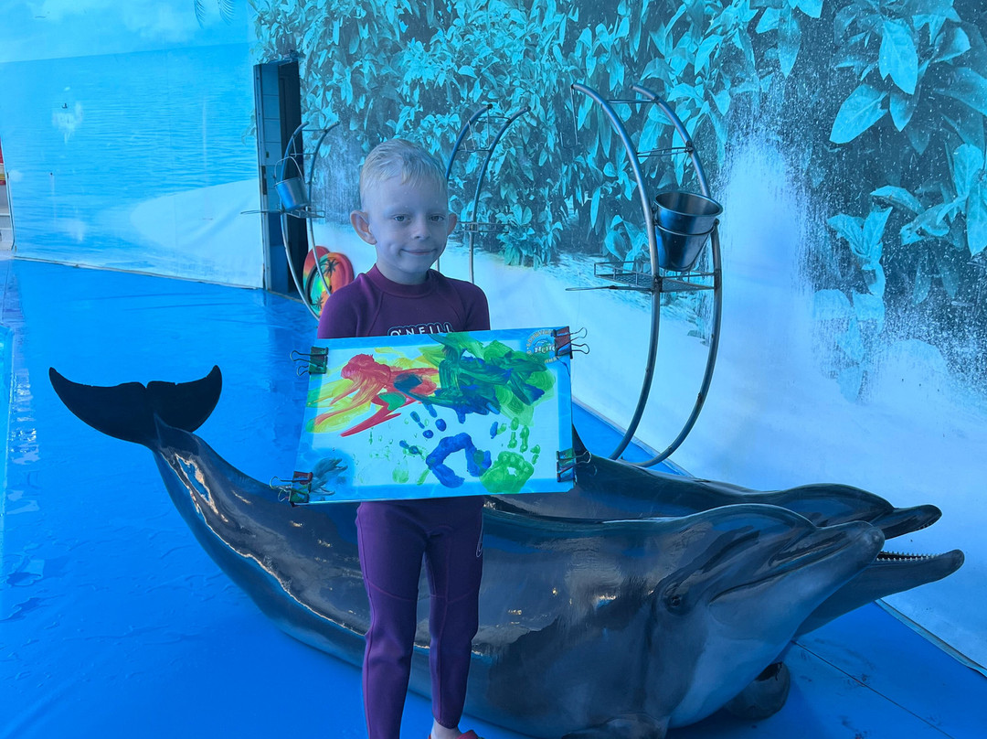 Alushta Dolphinarium Nemo-阿卢什塔必去景点