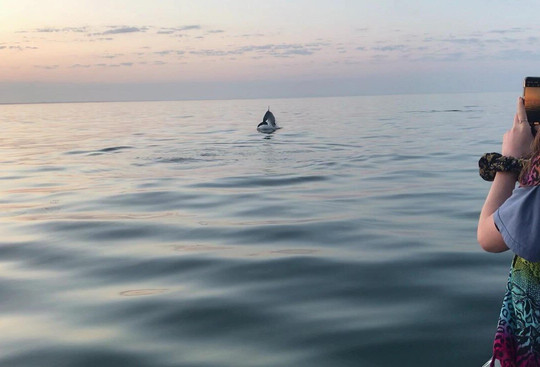 Go Fishing Portugal - Sesimbra-塞新布拉必去景点