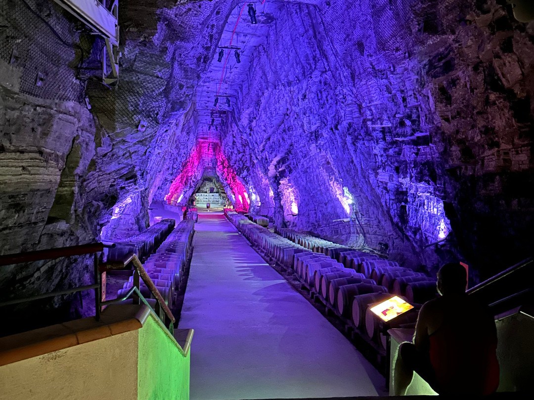 Terra Vinéa景点图片