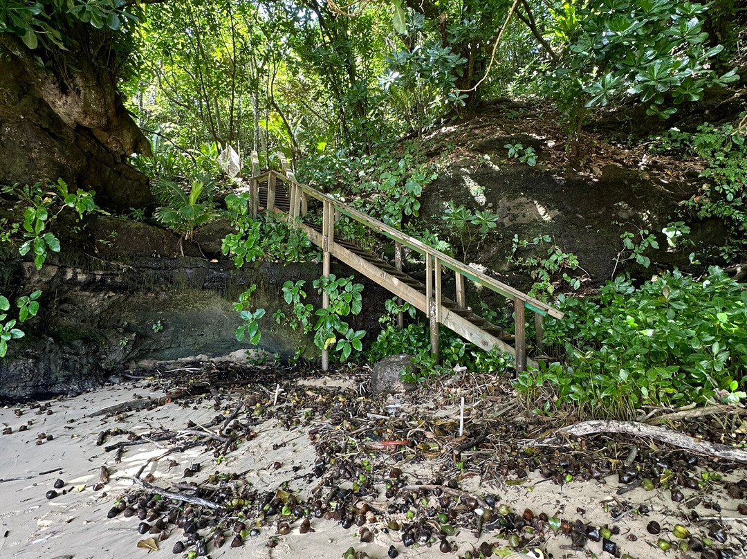 Fagatele Bay Trail景点图片