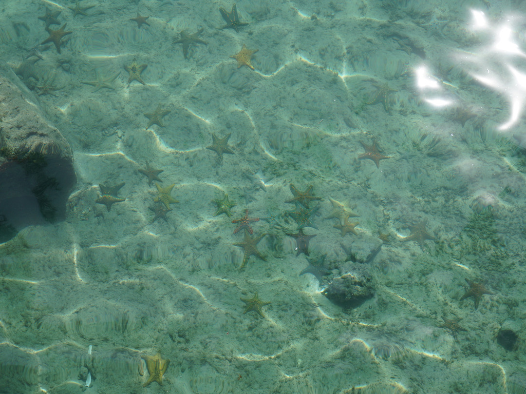 Suha De Zanzibar-帕杰必去景点