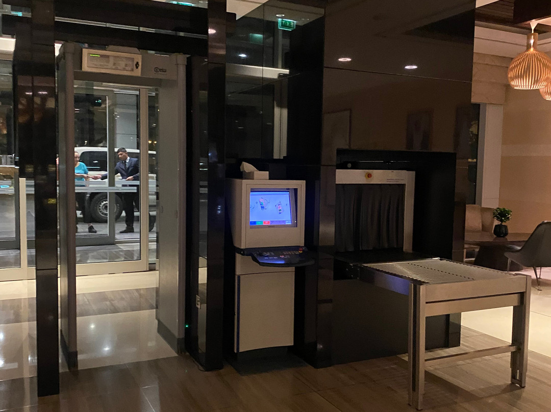 罗塔纳羚羊主图