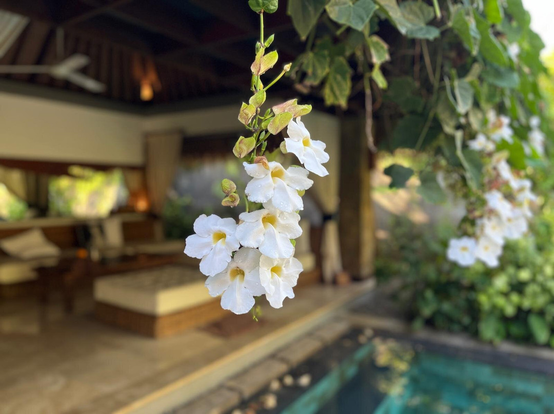 精品别墅酒店主图