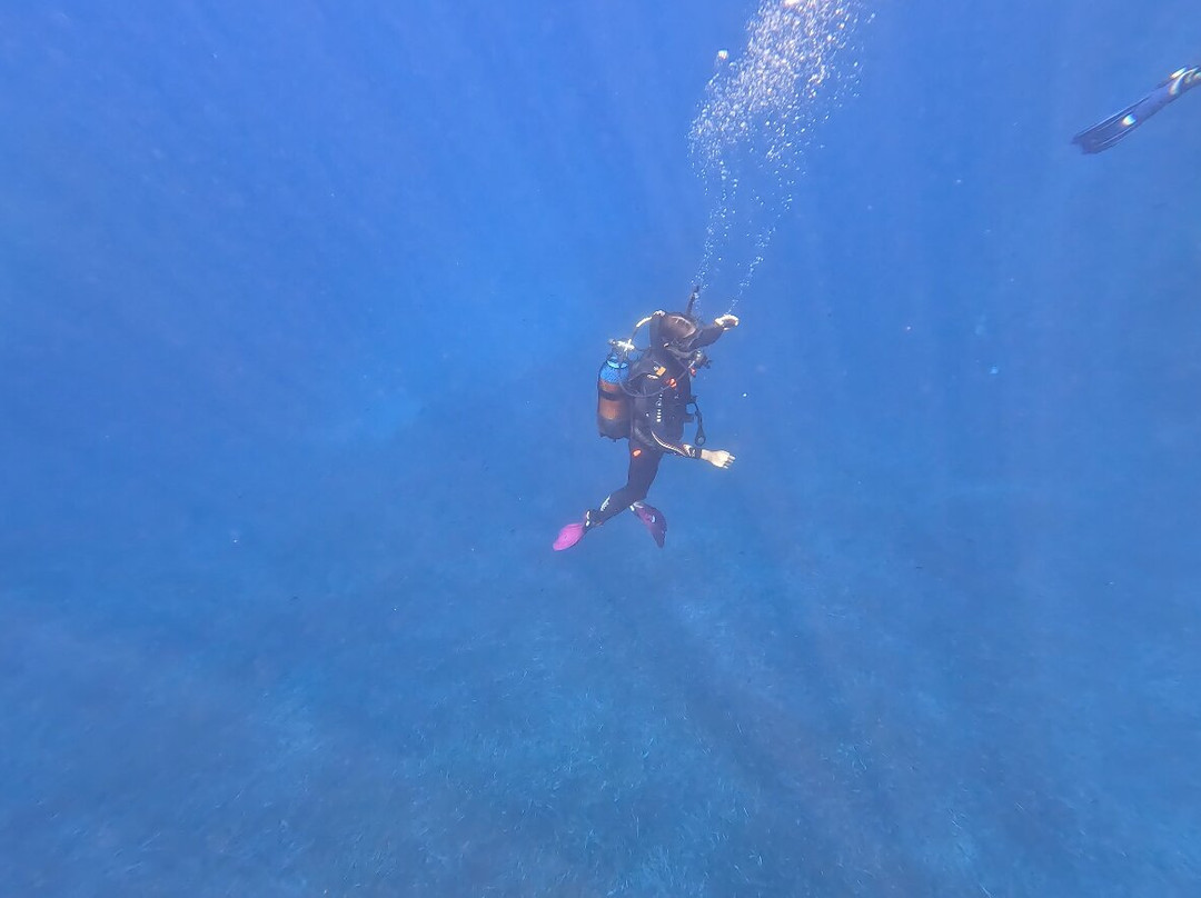 Aqualonde Plongée-La Londe Les Maures必去景点