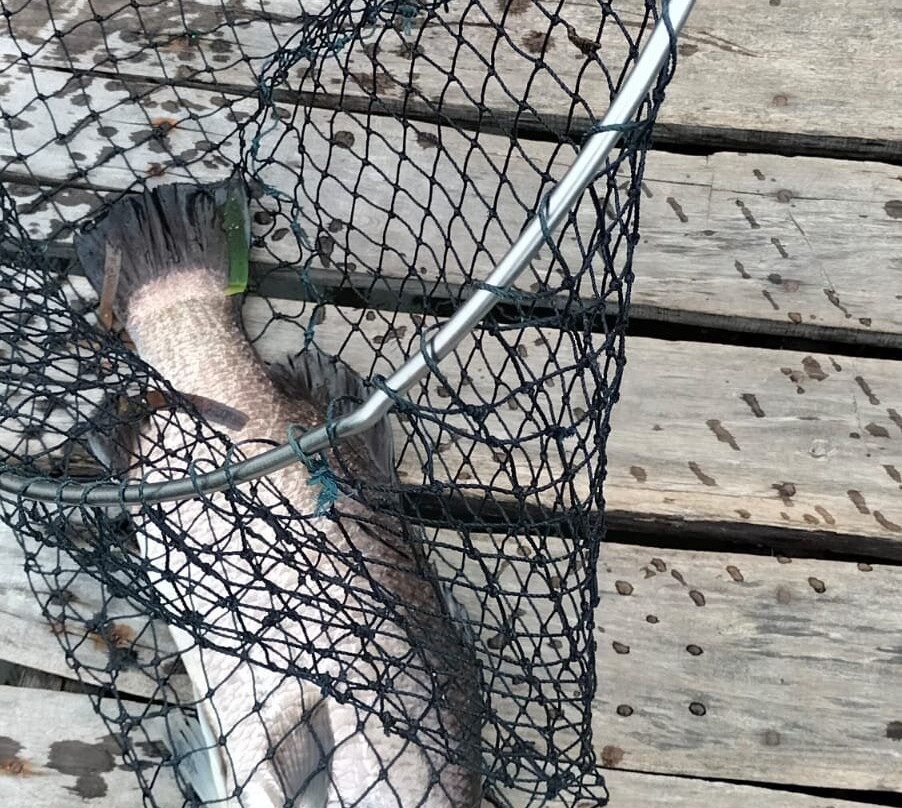 Floating Village Rach Vem-扬东必去景点