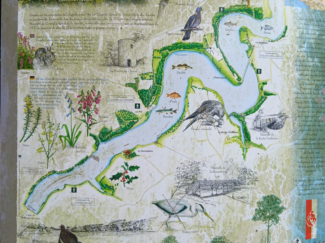 Le Lac Du Jaunay景点图片