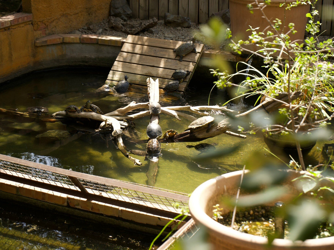 Centre de Reproduccio de Tortugues de l'Albera景点图片