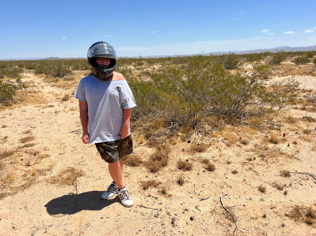 Wild Desert Tours-Helendale必去景点