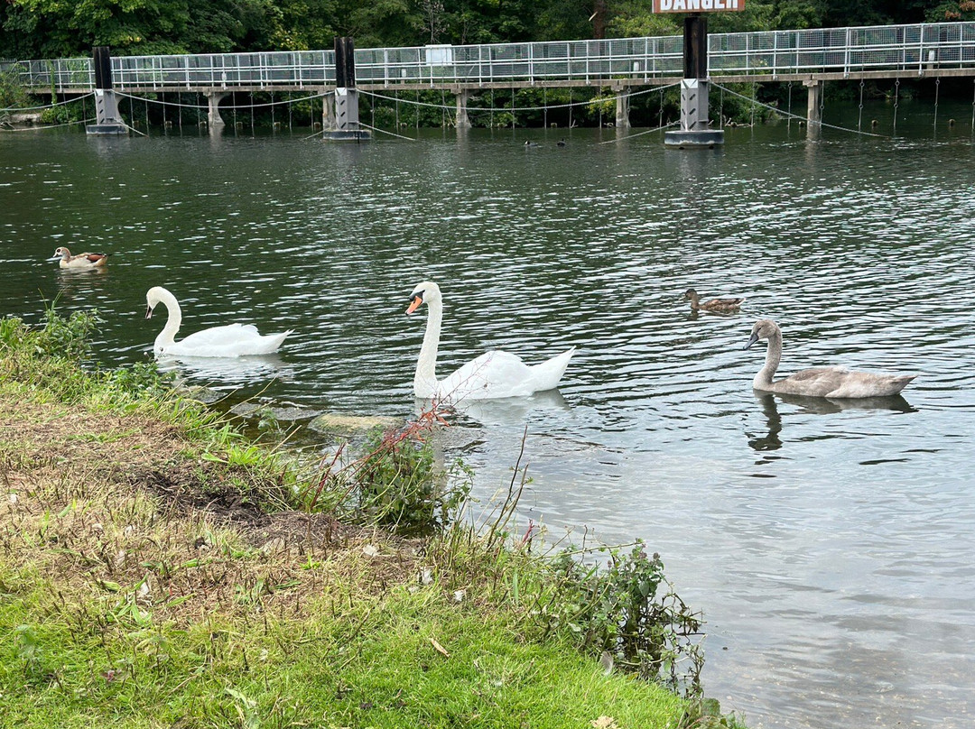 The Fox at Hurley主图