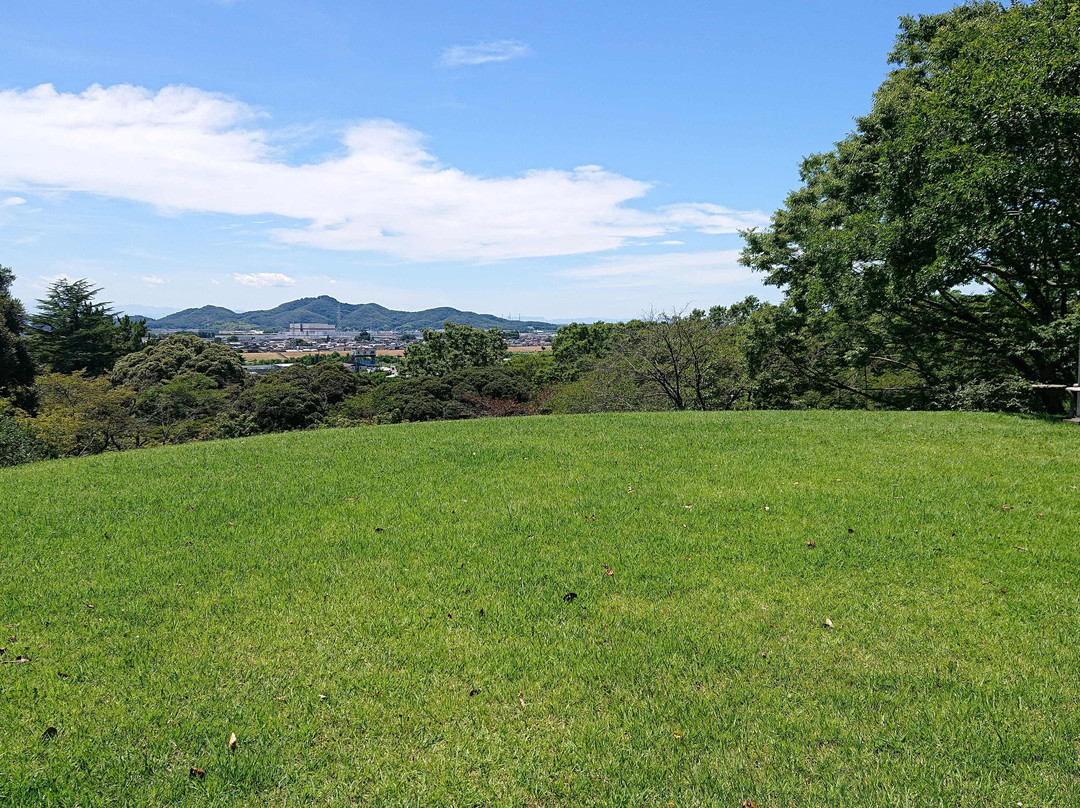 Ashikaga Park-足利市必去景点