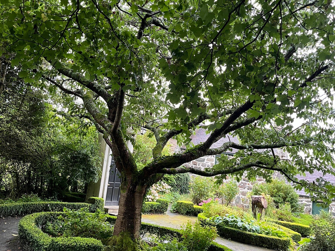 Lloyd George Museum景点图片