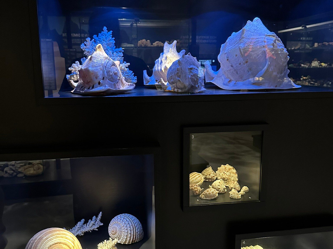 Muzeeaquarium Delfzijl-Delfzijl必去景点