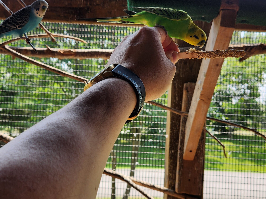 Safari Niagara-Stevensville必去景点