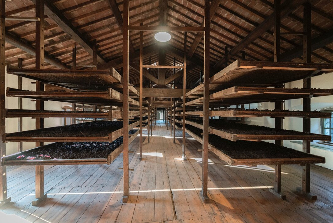 Tenta Santa Maria di Gaetano Bertani景点图片