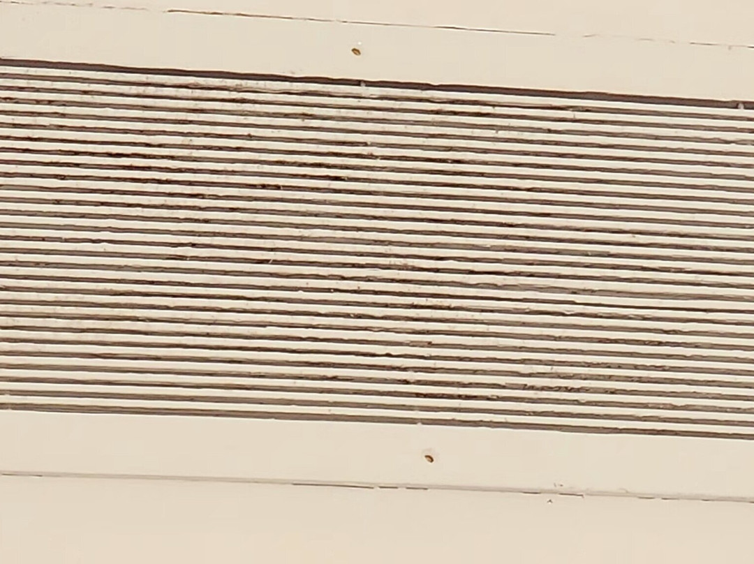 Marien Puerto Plata主图