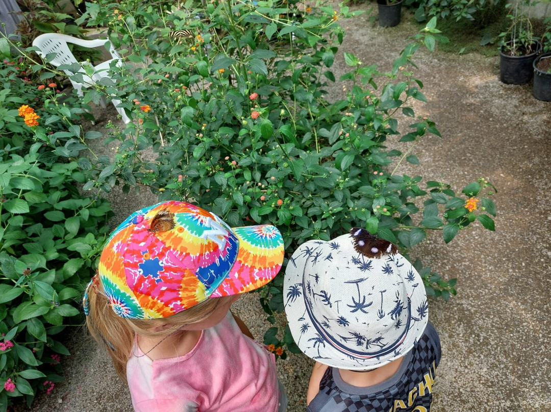Jardin des Découvertes景点图片