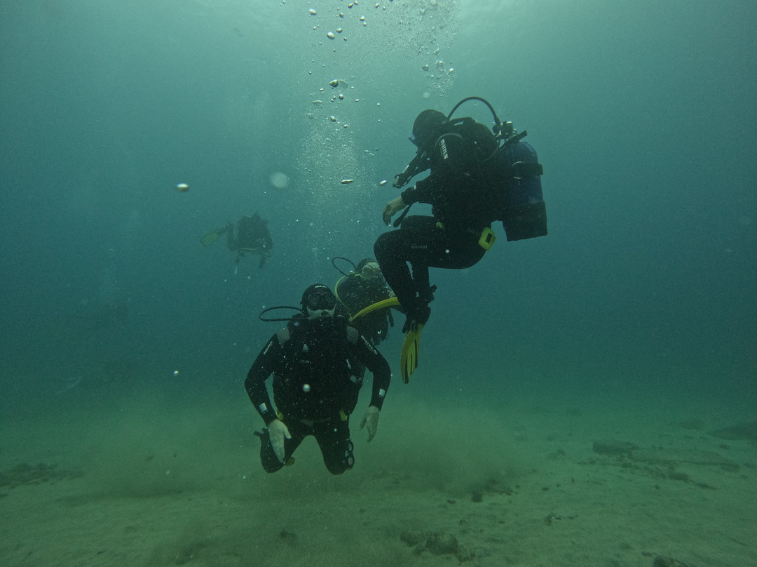 Deep Blue Azores Diving Center-亚速尔群岛英雄港中心区必去景点