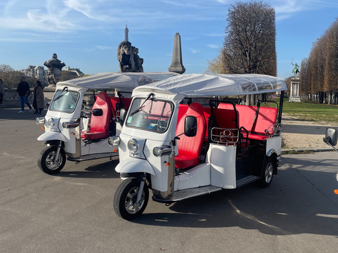Paris TukTuk Fun Tour-巴黎必去景点
