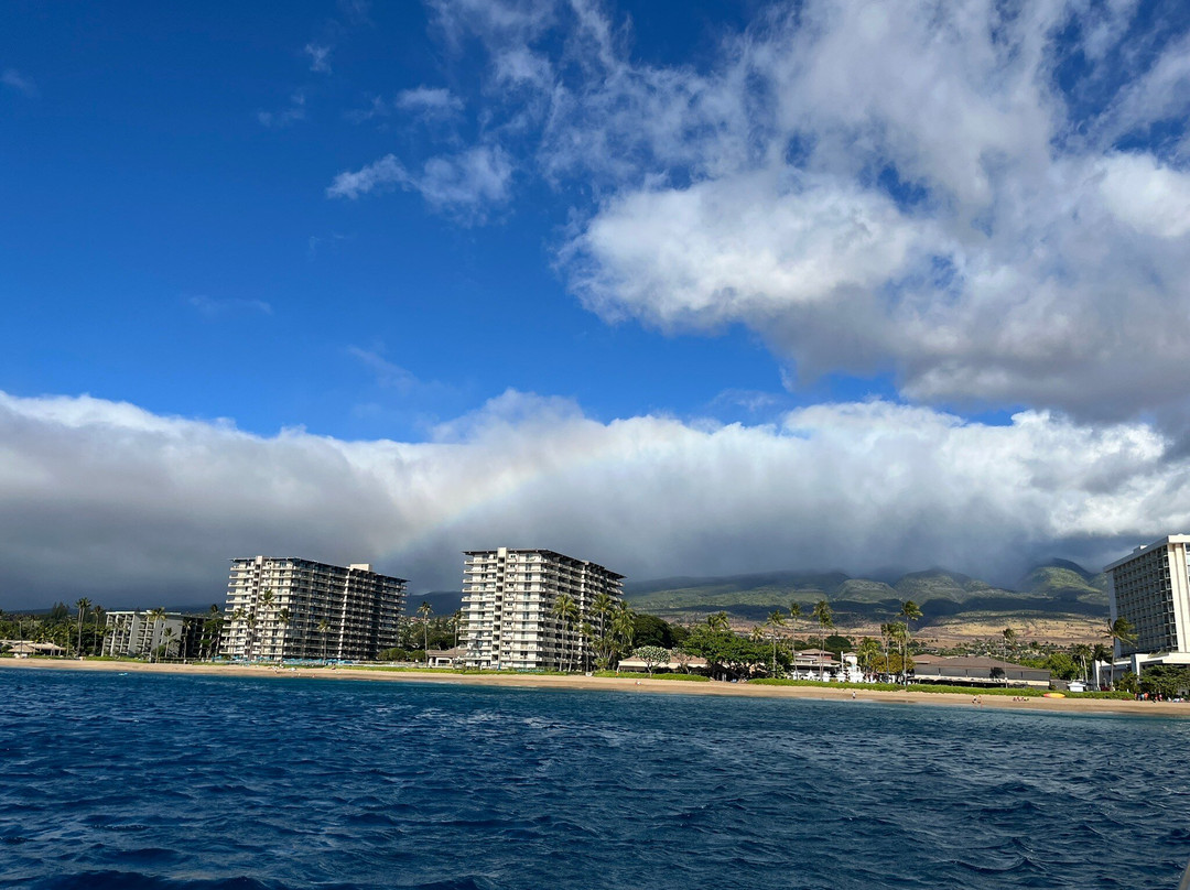 Sea Maui-拉海纳必去景点