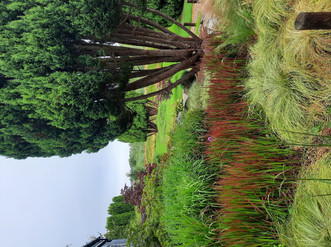 Biblical Garden Elgin-埃尔金必去景点