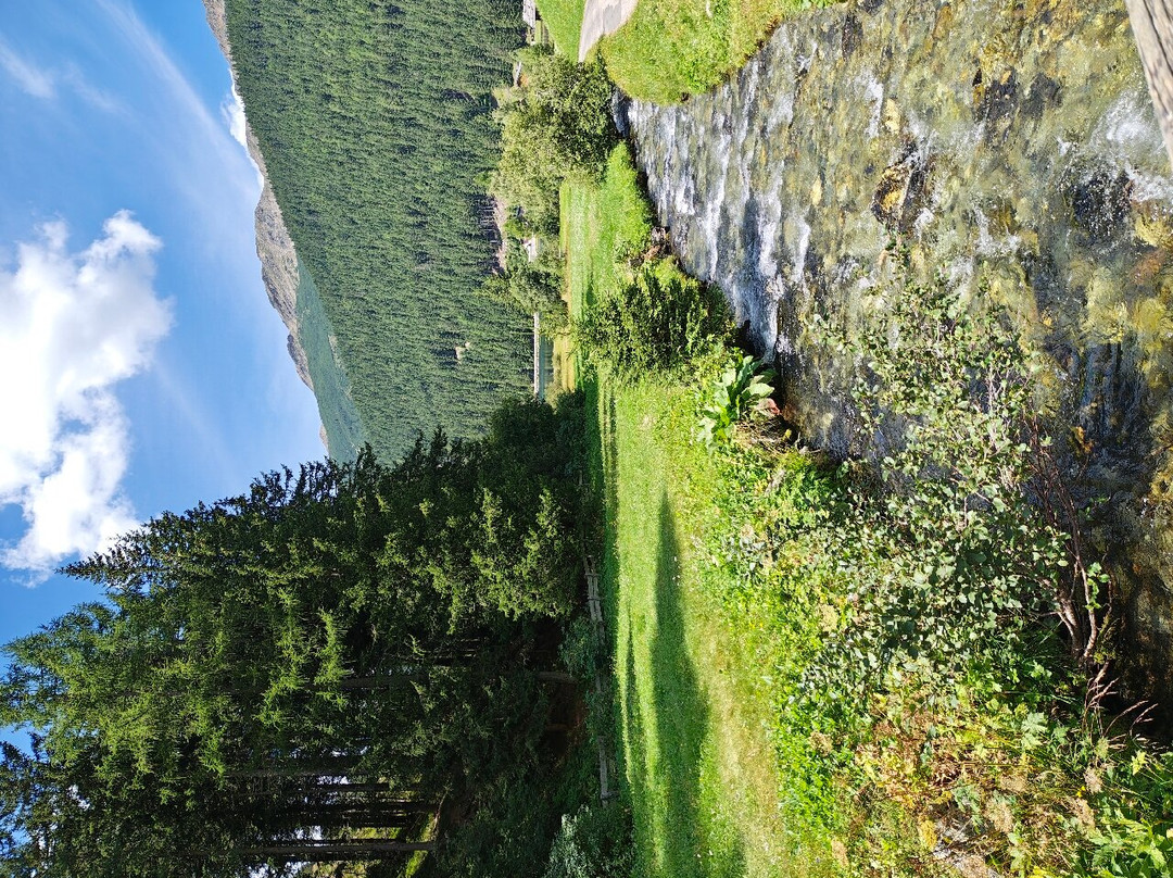 Feldrand hotel主图