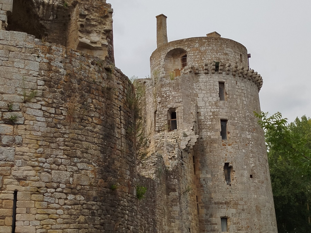 Chateau de la Hunaudaye景点图片