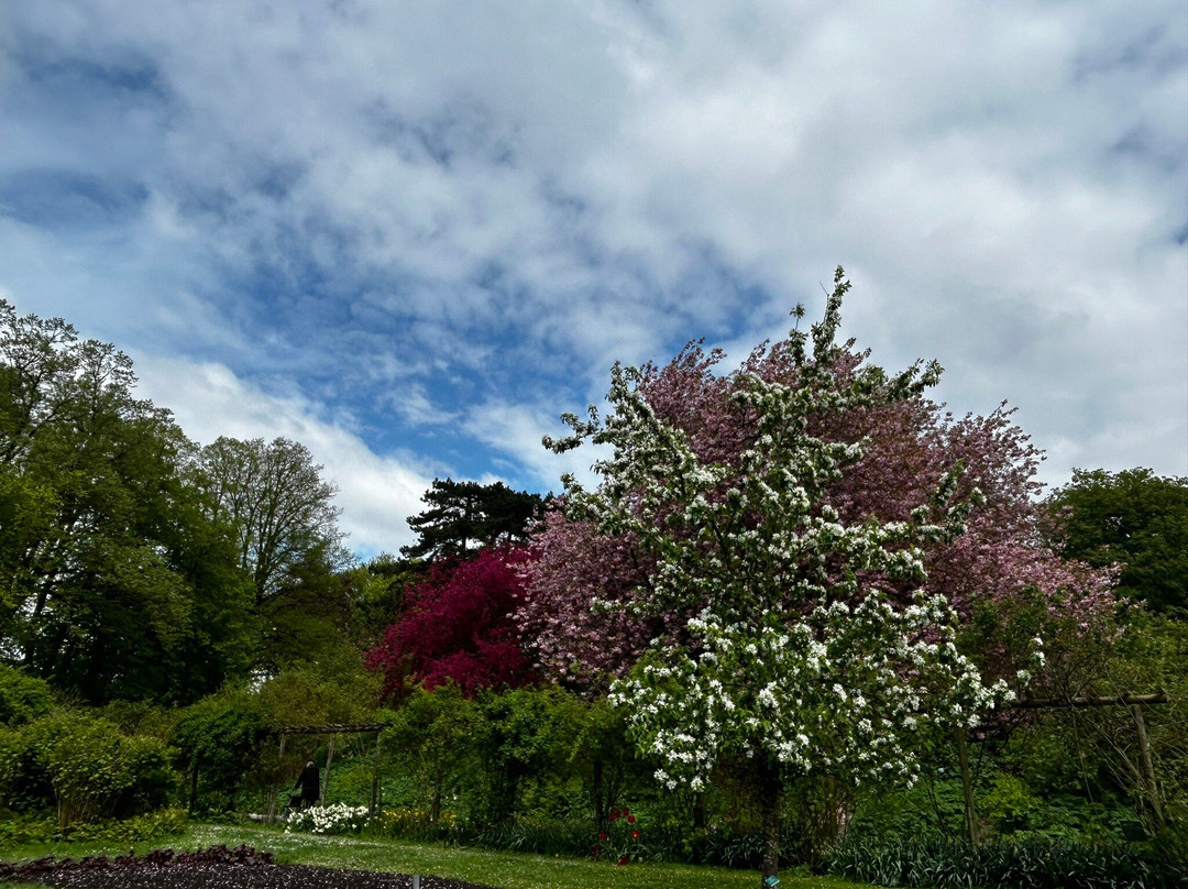 Botanical Gardens (Botaniska Tradgarden)-隆德必去景点