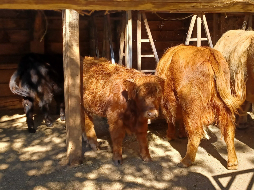 Parc Animalier de Gramat-Gramat必去景点
