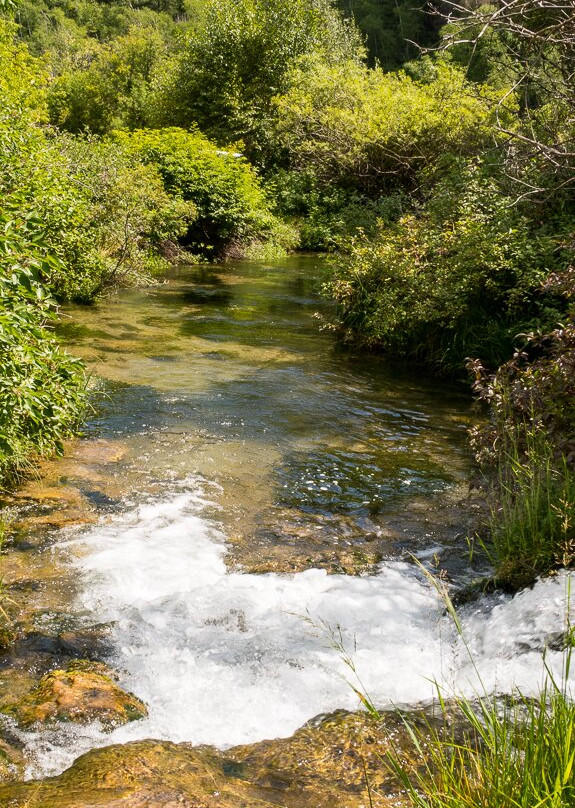 Roughlock Falls Nature Area-Savoy必去景点