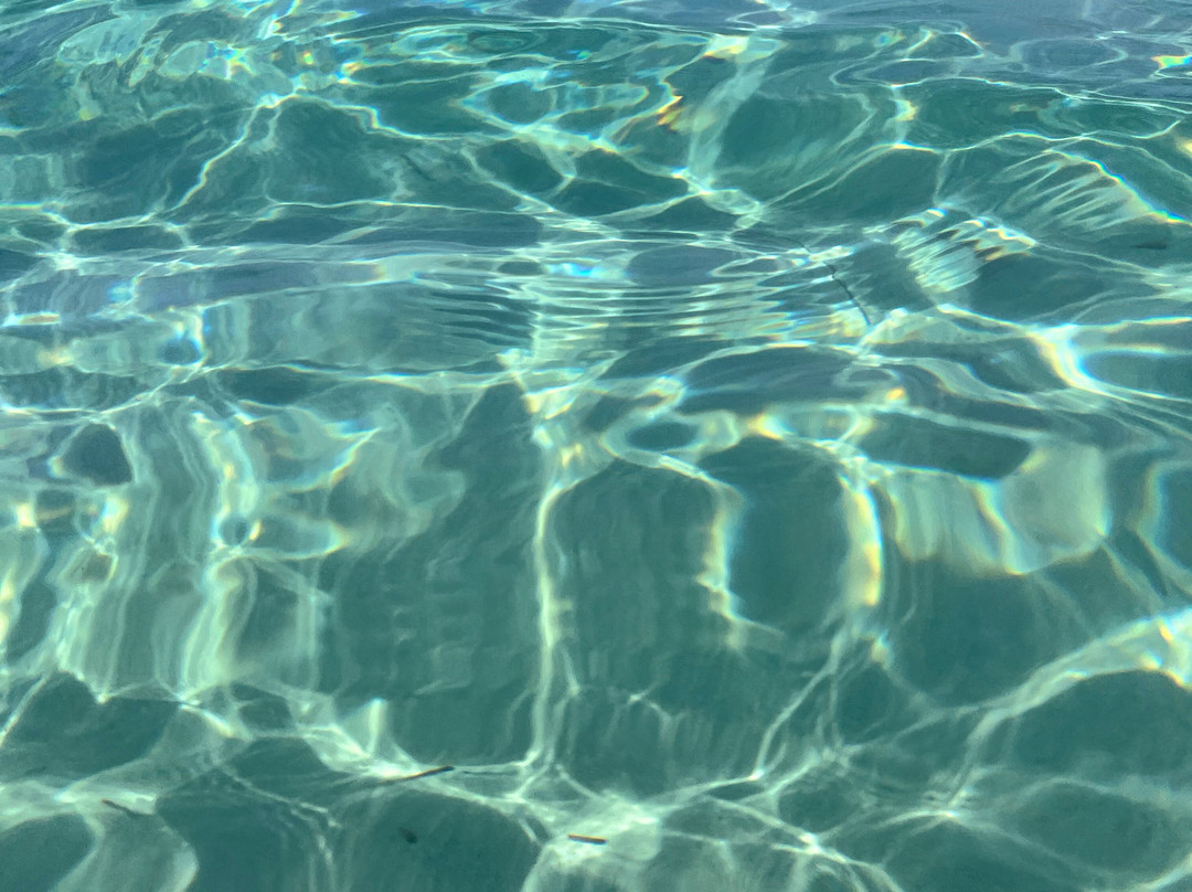 M/N Riviera di Gallura-拉马达莱娜必去景点