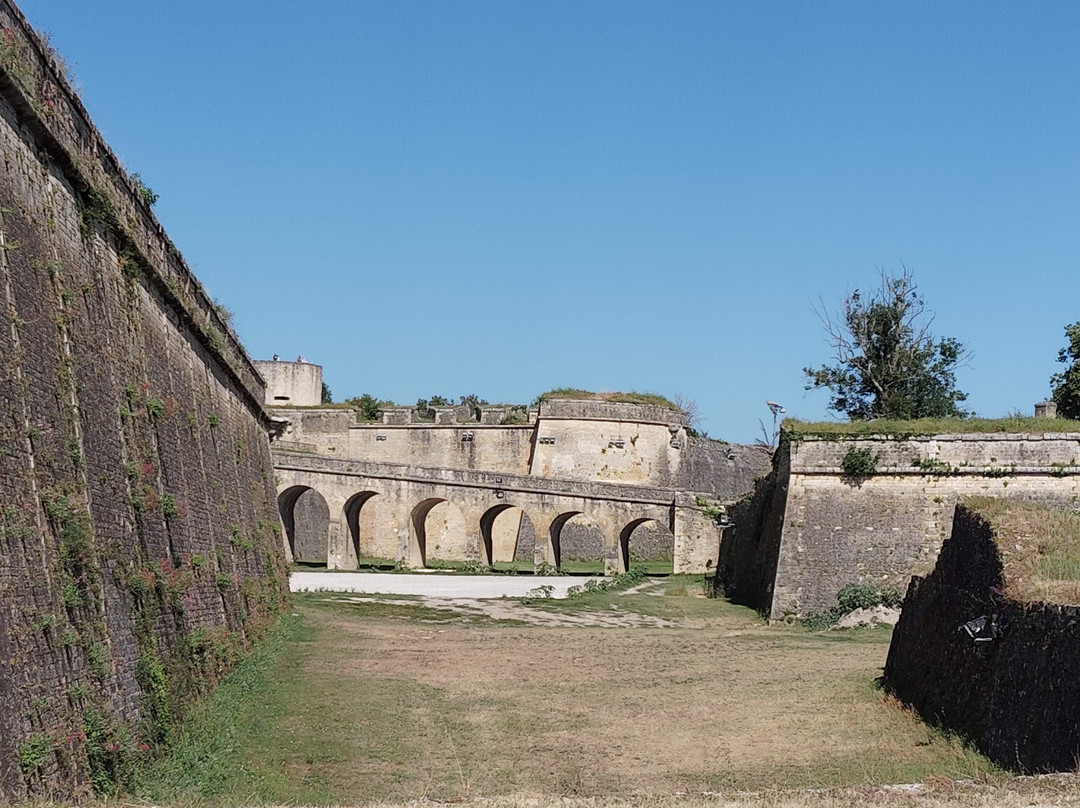 Citadelle de Blaye景点图片