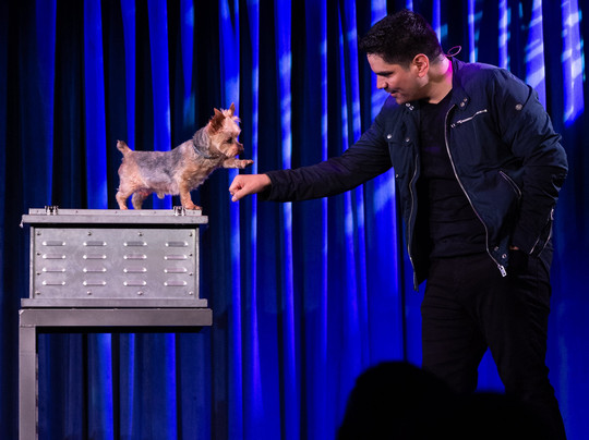 Jason Bishop Straight Up Magic-坦纳斯维尔必去景点