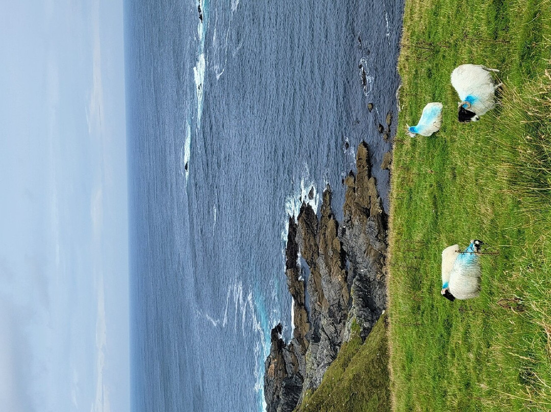 Spirit of Ireland Executive Travel景点图片