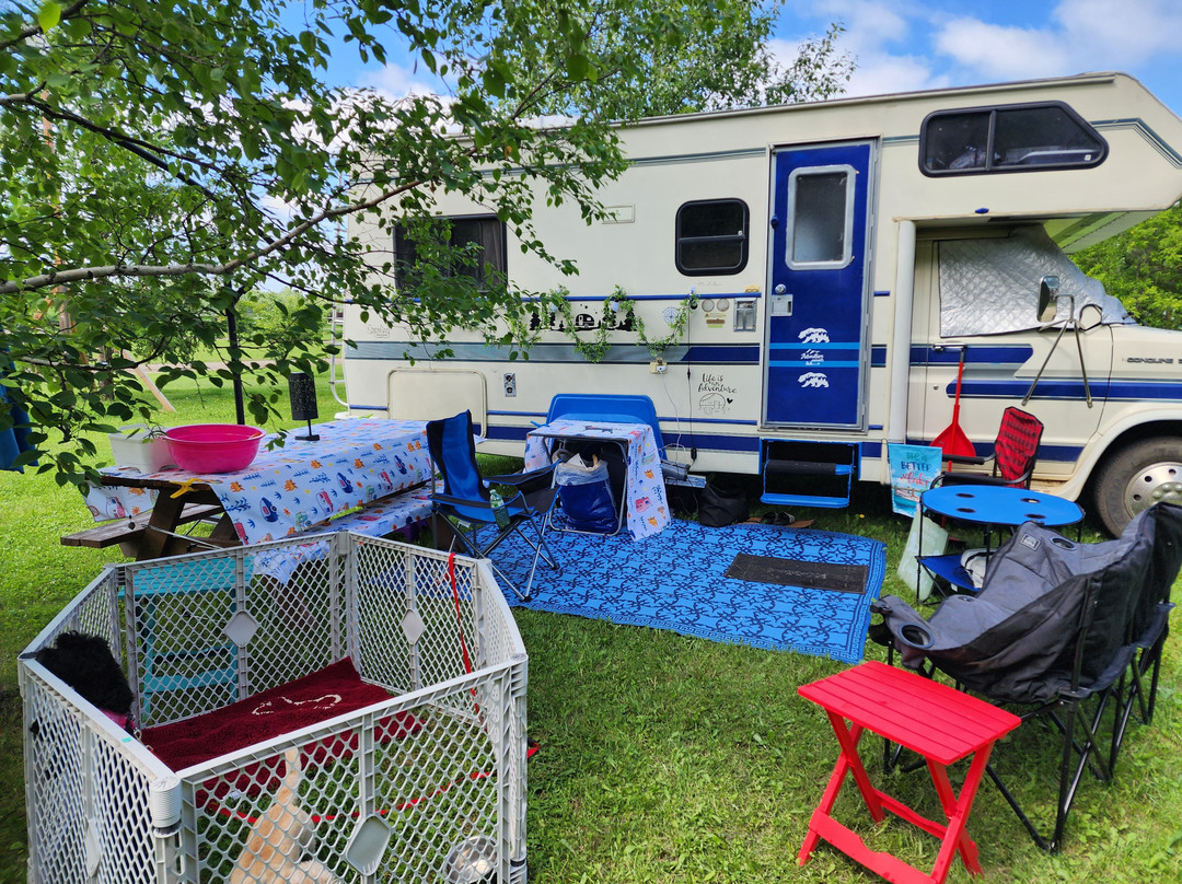 Evergreen Birch Lodge and Resort主图