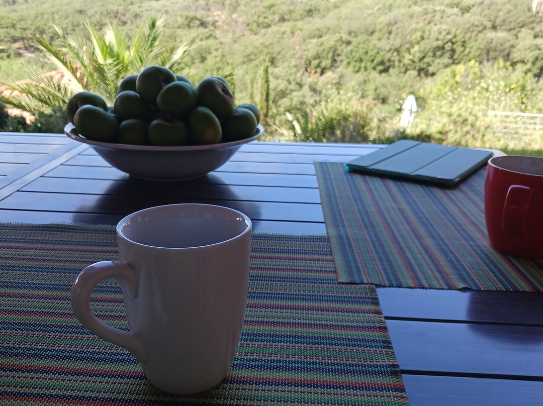 Domaine de Flo主图