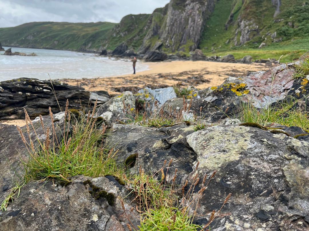 Glenegedale Guest House Islay主图