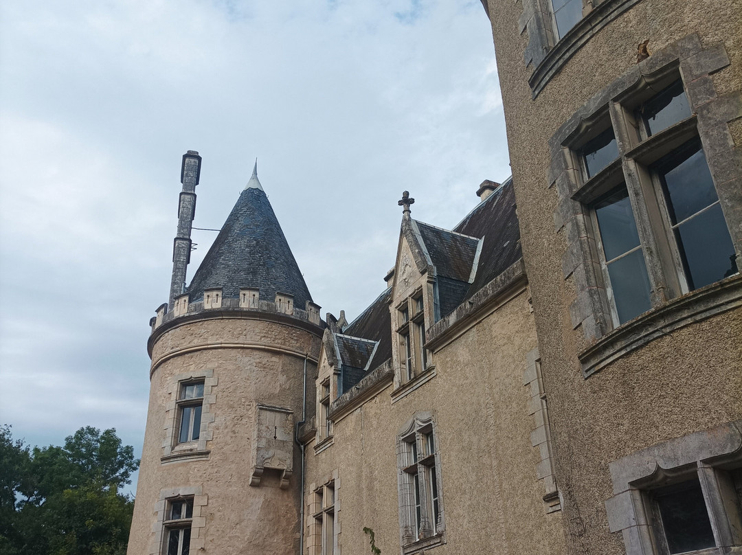 Chateau de Fougeret景点图片