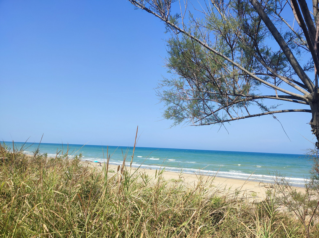 Lido Itaca-Torre di Cerrano必去景点