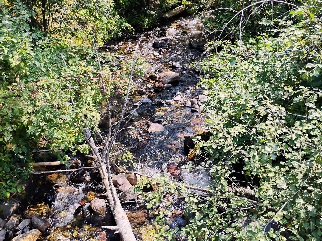 Lost Moose Meadows Campground景点图片