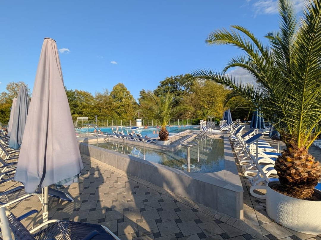 Europa Therme Bad Fussing景点图片