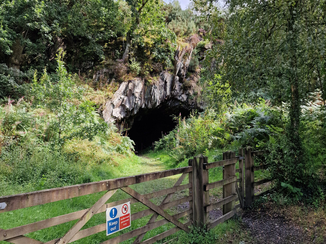 Dolaucothi Gold Mines-Llanwrda必去景点