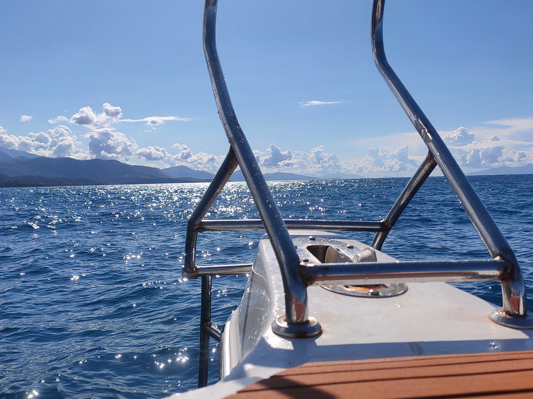 Lido Boat Tours景点图片